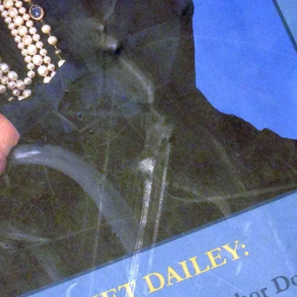 Romantic Suspense - Janet Dailey Lone Calder Star